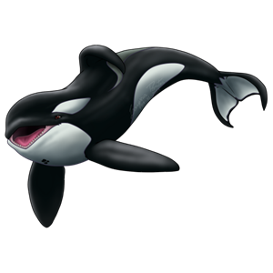 Killer whale PNG-71298